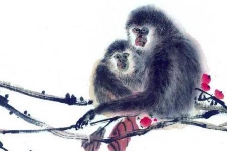 属虎2001年命运解析：勇敢与智慧的结合之路