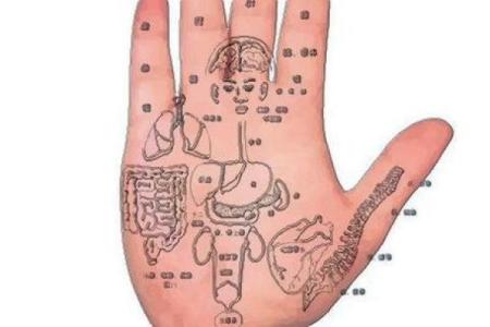 手心有痣的女人：命运之谜与幸福之道