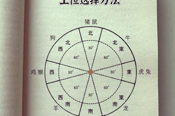 属牛宝宝的五行命理解析与生活指导