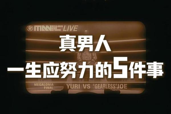男人的一生：成长、奋斗与责任之旅