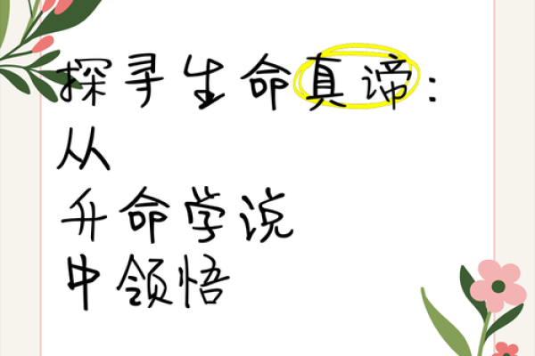 莲花女命：探寻命理之美与生命的哲学