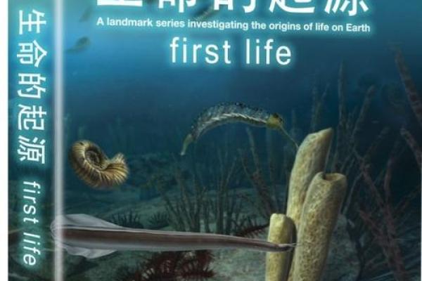 农历六月初四出生的人命运解析：阳光下的生命之旅