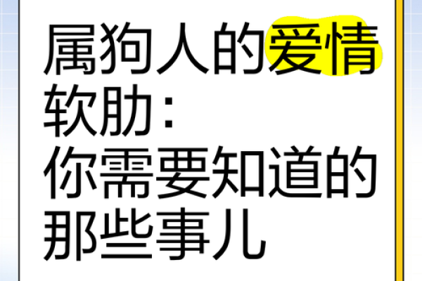 了解属狗人的命理：金木水火命如何影响他们的性格与生活