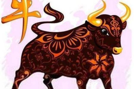 属牛宝宝的五行命理解析与生活指导