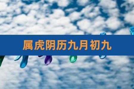 属虎阳女水二局的命理解析与人生运势探讨