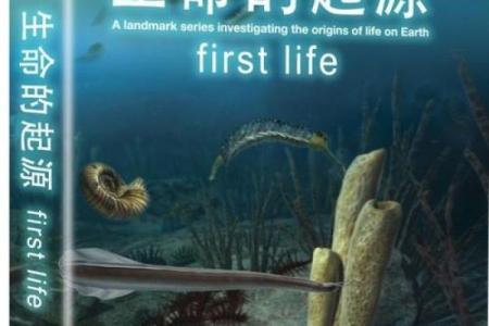 农历六月初四出生的人命运解析：阳光下的生命之旅