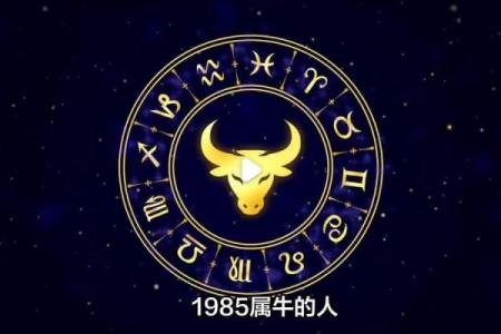 属牛1985年出生的人命运解析：事业与爱情的双重挑战与机遇