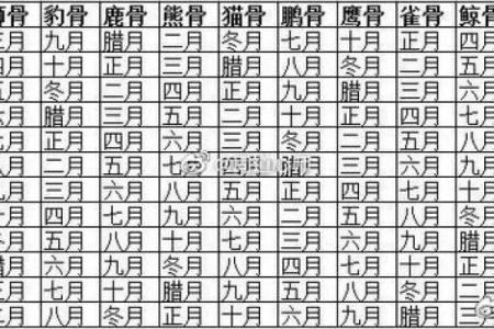 解析农历12月初的命格特征与人生走向
