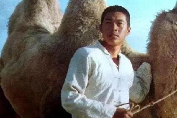 骆驼命:一场与命运的智慧对话,了解你的生命密码 骆驼命:一场与命运的智慧对话,了解你的生命密码