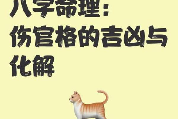 伤官星入命:解密命理中的独特符号与人生旅程 伤官星入命:解密命理中的独特符号与人生旅程