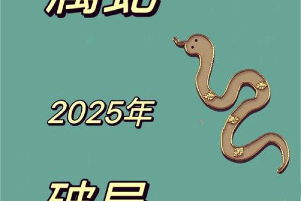 属蛇土命职场发展：最适合的职业选择与发展策略