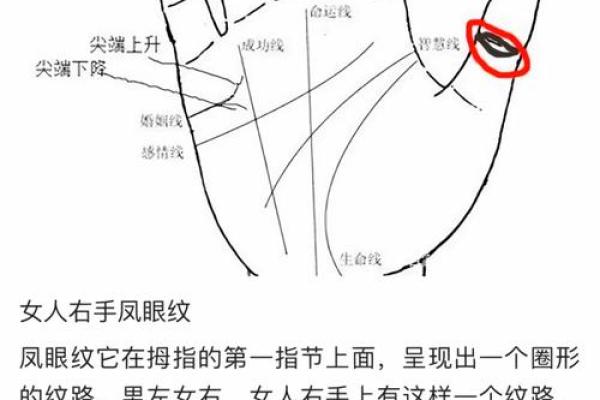 手指尖细,命运与性格的微妙联系探讨 手指尖细,命运与性格的微妙联系探讨