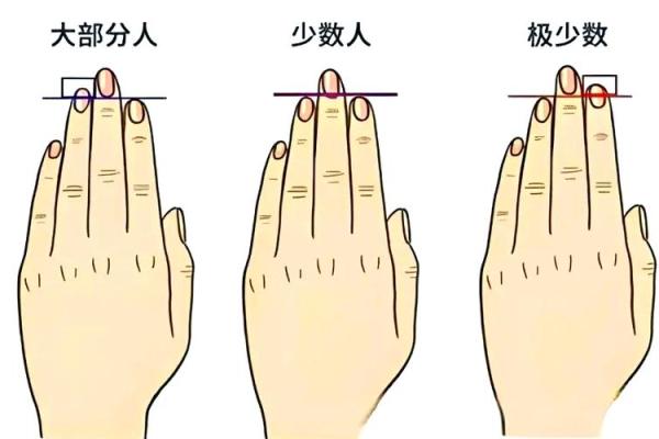 手指细如绳,命格如何?揭示隐藏的命运之谜 手指细如绳,命格如何?揭示隐藏的命运之谜