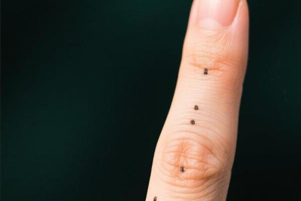 手指细如绳,命格如何?揭示隐藏的命运之谜 手指细如绳,命格如何?揭示隐藏的命运之谜