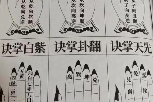 男人凤命是什么命？揭示独特命理背后的奥秘与影响！