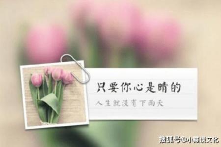 属龙人砂土命的深意与人生启示