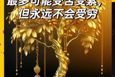 揭示命格之谜：普通女人的命运与人生故事