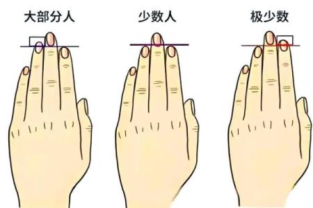 手指细如绳，命格如何？揭示隐藏的命运之谜