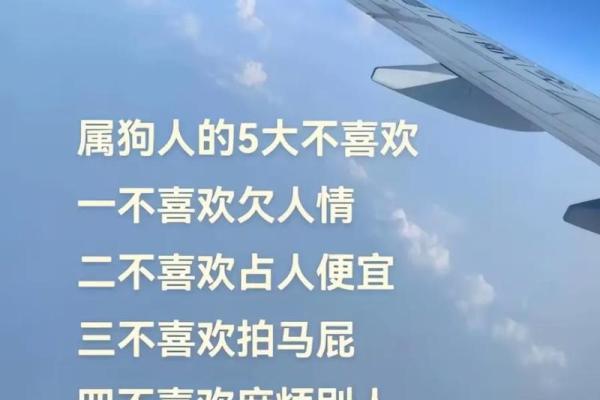 属狗的十七岁:走向未来的勇敢旅程 属狗的十七岁:走向未来的勇敢旅程