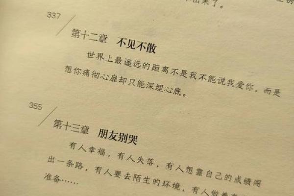 属狗的十七岁:走向未来的勇敢旅程 属狗的十七岁:走向未来的勇敢旅程