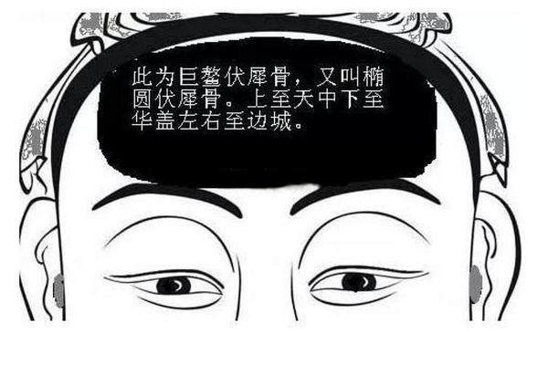 揭秘骨相学：什么样的骨相预示富贵命运？