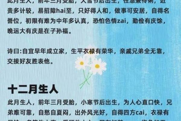 属羊女腊月出生：性格特点与命运解析
