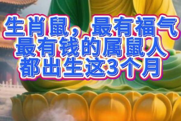 属鼠一月份出生的人命格解析与事业运势的完美结合 属鼠一月份出生的人命格解析与事业运势的完美结合