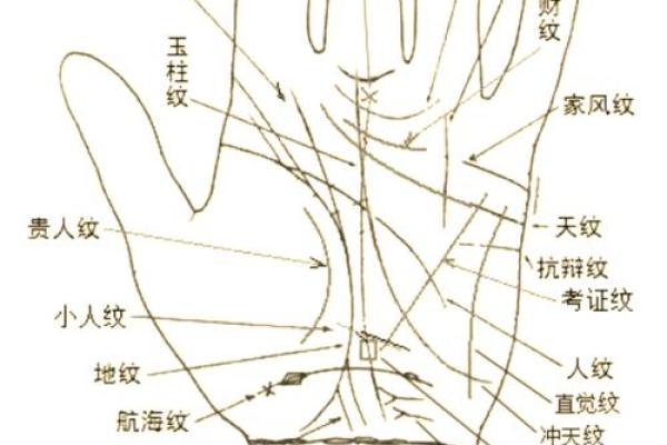 手相中的官印:揭示女性命运的神秘符号 手相中的官印:揭示女性命运的神秘符号