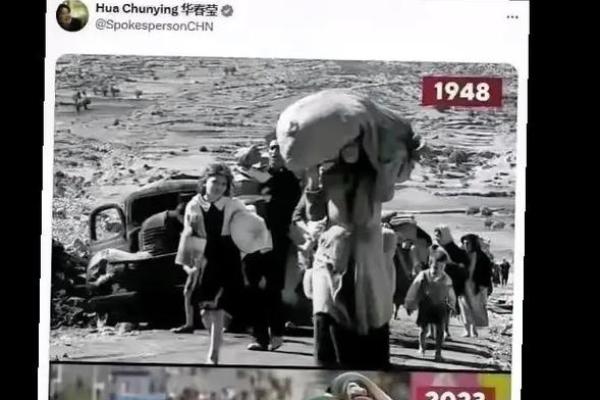 难民的命：追寻希望与归属的旅程