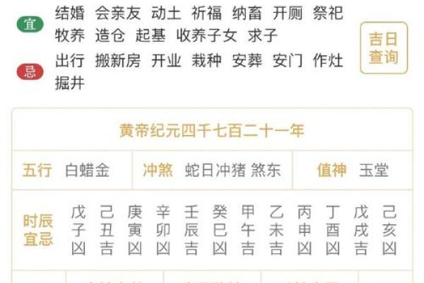 男乙亥年辛巳月命运解析：探寻生命中的光与影