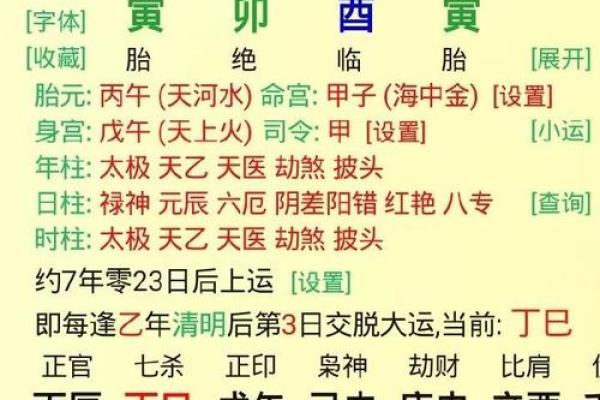 男乙亥年辛巳月命运解析：探寻生命中的光与影