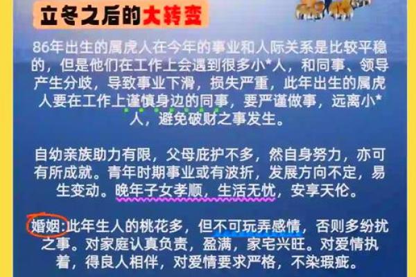 属虎二月出生的人的命运分析与生活指导 属虎二月出生的人的命运分析与生活指导