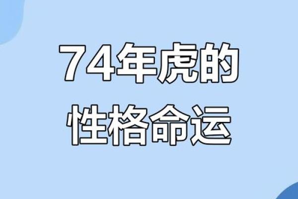 属虎二月出生的人的命运分析与生活指导 属虎二月出生的人的命运分析与生活指导