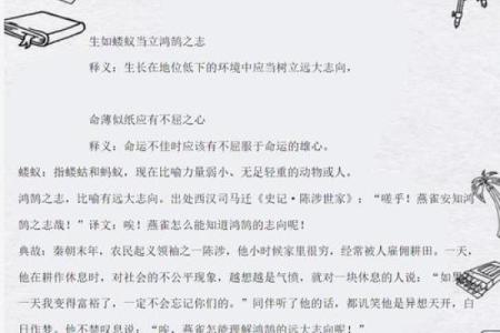 命如蝼蚁，微不足道的生命探索