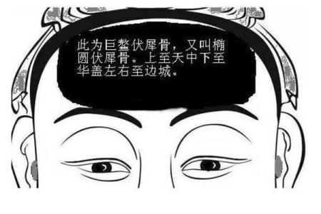 揭秘骨相学：什么样的骨相预示富贵命运？