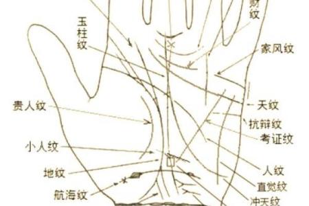 手相中的官印：揭示女性命运的神秘符号