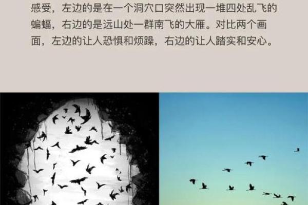 分析偏枯命的两气成象及其影响，揭示命运决策的关键因素