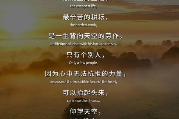 何必拿命赚钱？生活的意义在于享受与平衡