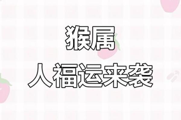 猴年命不好？揭秘性格与运势的秘密！
