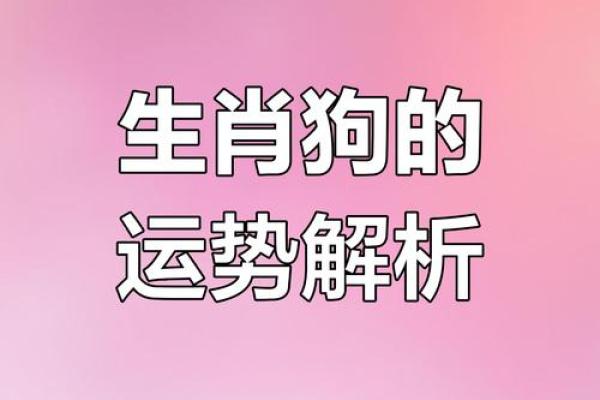 属狗晚上出生的人生与命运的探讨:智慧与机遇的结合 属狗晚上出生的人生与命运的探讨:智慧与机遇的结合