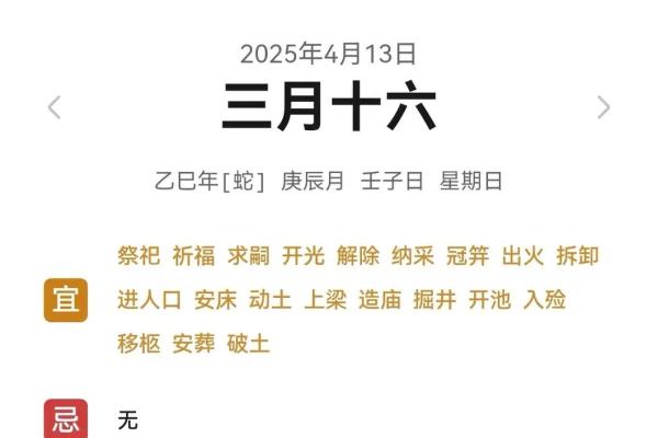壬寅年乙巳月：命运之路的深探秘与精彩人生