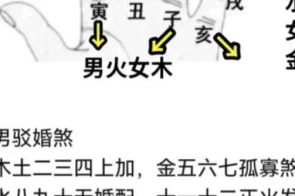 木命与土命:最佳命格组合解析 木命与土命:最佳命格组合解析