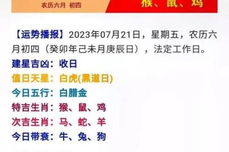 解读七九年阴历十月出生的命运与性格特征