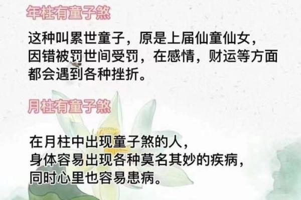破解童子命的八字智慧与命理解析