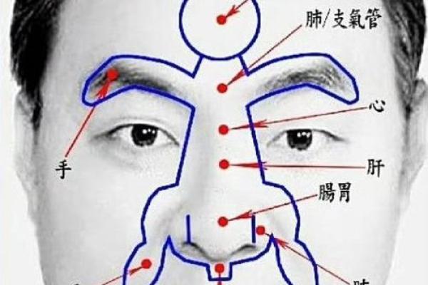 如何通过面相看孩子命，面相学中的儿子命解析