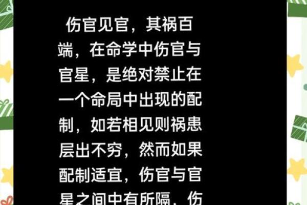 揭秘壬午辛亥乙未命格：命运与性格的深度解析