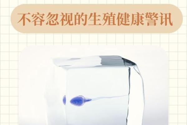 揭秘男性命格:成就事业与生活的关键因素 揭秘男性命格:成就事业与生活的关键因素