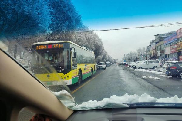 三月之虎:春暖花开中的独特命运与机遇 三月之虎:春暖花开中的独特命运与机遇