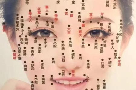 如何通过面相看孩子命，面相学中的儿子命解析