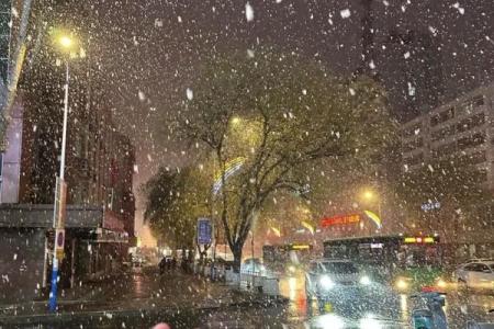 三月之虎：春暖花开中的独特命运与机遇